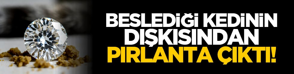 Beslediği kedinin dışkısından pırlanta çıktı!