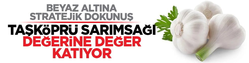 Beyaz altına stratejik dokunuş: Taşköprü sarımsağı değerine değer katıyor