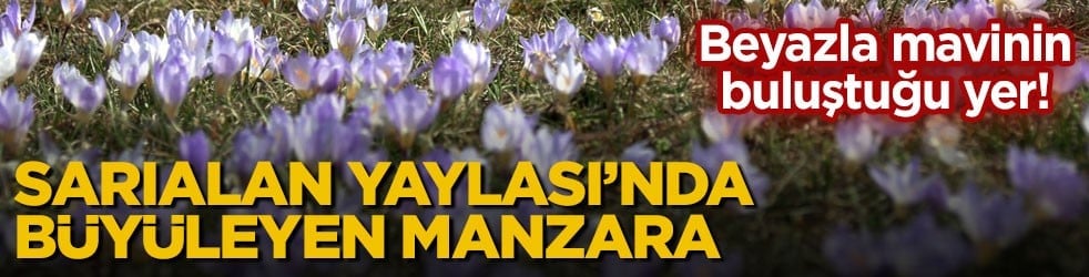 Beyazla mavinin buluştuğu yer! Sarıalan Yaylası’nda büyüleyen manzara