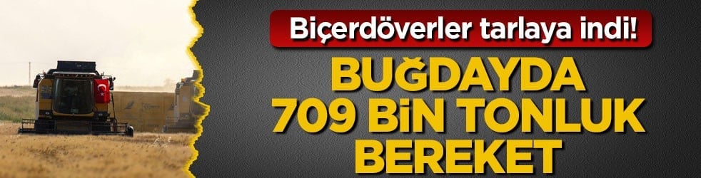 Biçerdöverler tarlaya indi! Buğdayda 709 bin tonluk bereket