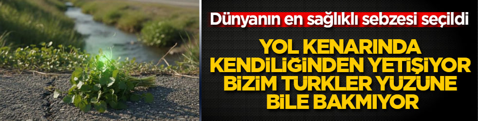 Bilim dünyası 100 tam puan verdi, dünyanın en sağlıklı sebzesi seçildi! Yol kenarında kendiliğinden yetişiyor, bizim Türkler yüzüne bile bakmıyor