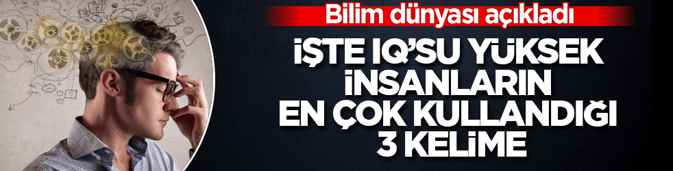 Bilim dünyası açıkladı: İşte IQ’su yüksek insanların en çok kullandığı 3 kelime