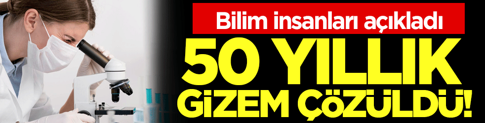 Bilim insanları açıkladı: 50 yıllık gizem çözüldü!