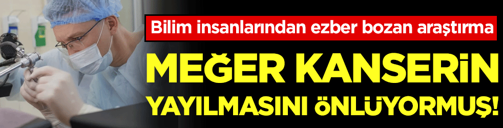 Bilim insanlarından ezber bozan araştırma: Meğer kanseri engelliyormuş!