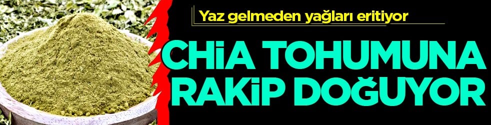 Bilimsel adı ile 'psyllium husk' Chia tohumuna rakip doğuyor: Yaz gelmeden yağları eritiyor