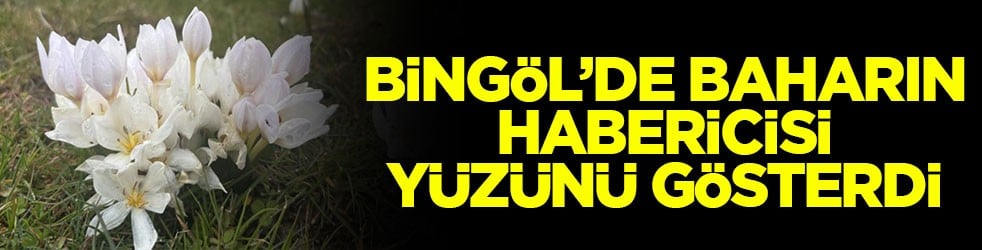 Bingöl’de baharın habercisi yüzünü gösterdi