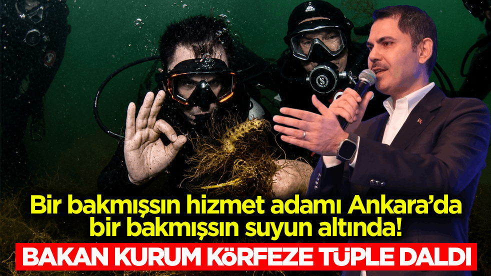 Bir bakmışsın hizmet adamı Ankara’da bir bakmışsın suyun altında! Bakan Kurum körfeze tüple daldı
