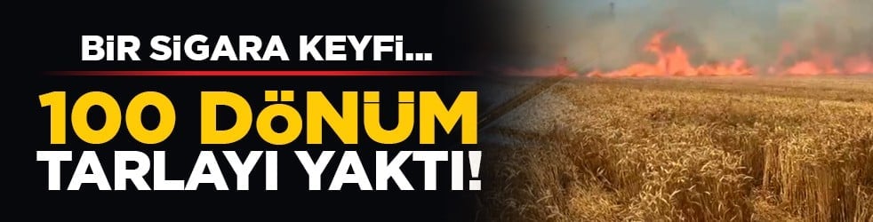 Bir sigara keyfi... 100 dönüm tarlayı yaktı!