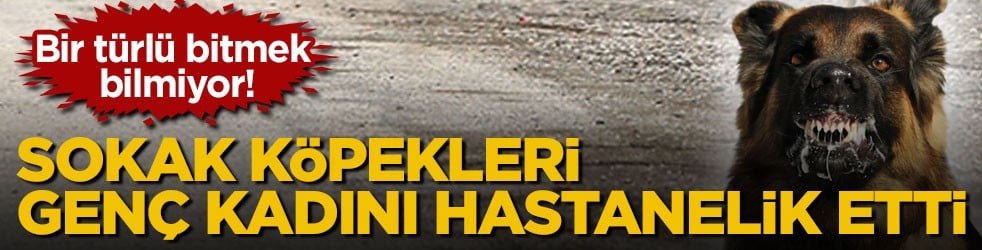 Bir türlü bitmek bilmiyor! Sokak köpekleri genç kadını hastanelik etti