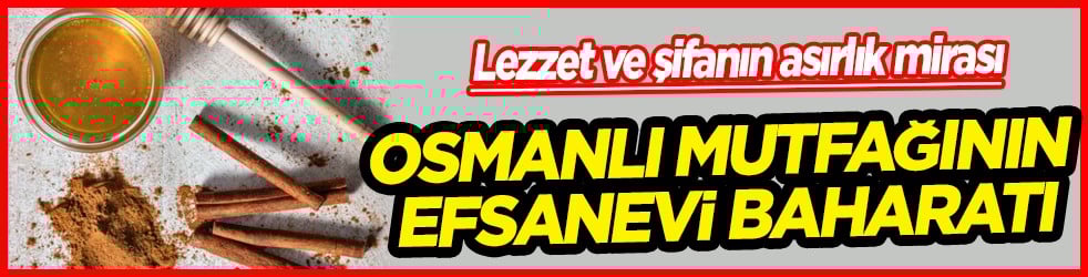 Bir tutamı yetiyor: Osmanlı mutfağının efsanevi baharatı Dar-ı Çin: Lezzet ve şifanın asırlık mirası