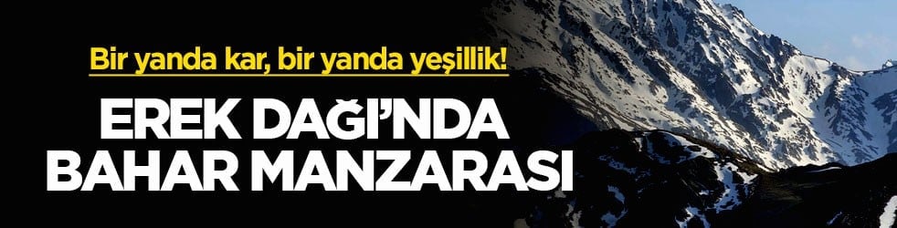Bir yanda kar, bir yanda yeşillik! Erek Dağı’nda bahar manzarası 