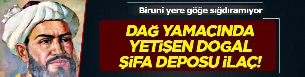 Biruni'nin eserlerinde hep yer almış! Doğal ağrı kesici dağ yamacında yetişiyor