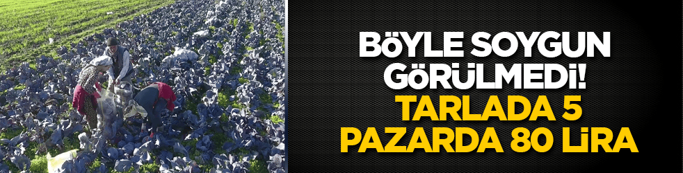 Böyle soygun görülmedi! Tarlada 5, pazarda 80 lira