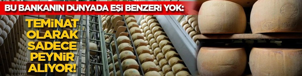 Bu bankanın dünyada eşi benzeri yok: Teminat olarak sadece peynir alıyor