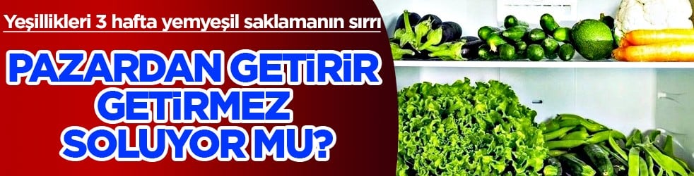 Bu detayı not edin! İşte yeşillikleri 3 hafta yemyeşil saklamanın sırrı!