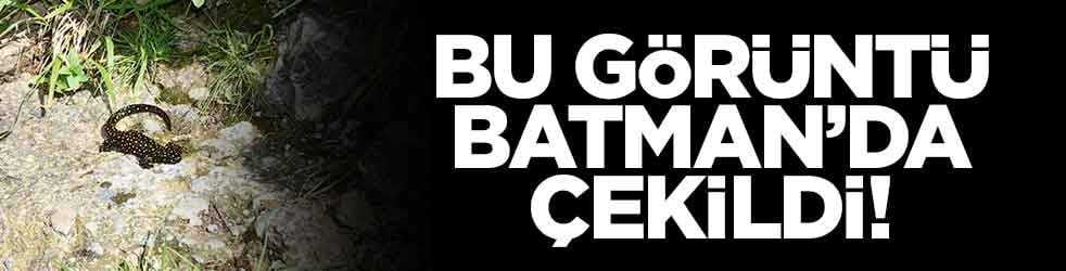 Bu görüntü Batman'da çekildi!