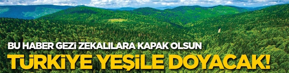 Bu haber Gezi zekalılara kapak olsun! Türkiye yeşile doyacak!