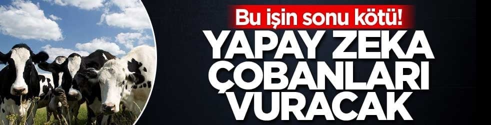 Bu işin sonu kötü! Yapay zeka çobanları vuracak