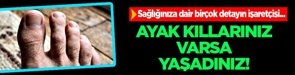 Bu küçük tüyler... Ayaklarınızda kıllarınız varsa yaşadınız! Dikkat edin yoksa... Sadece büyüyor mu?
