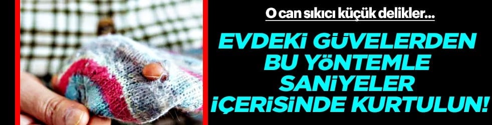 Bu sorunu kökten çözecek... Evdeki güvelerden bu yöntemle saniyeler içerisinde kurtulun!
