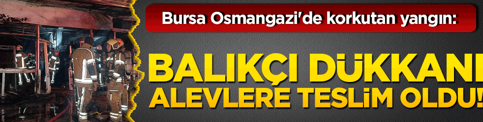 Bursa Osmangazi'de korkutan yangın: Balıkçı dükkanı alevlere teslim oldu!