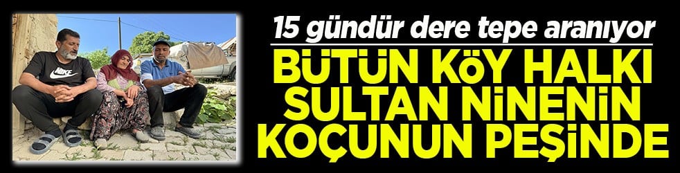 Bütün köy halkı Sultan ninenin koçunun peşinde