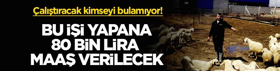 Çalıştıracak kimseyi bulamıyor! Bu işi yapana 80 bin lira maaş verilecek