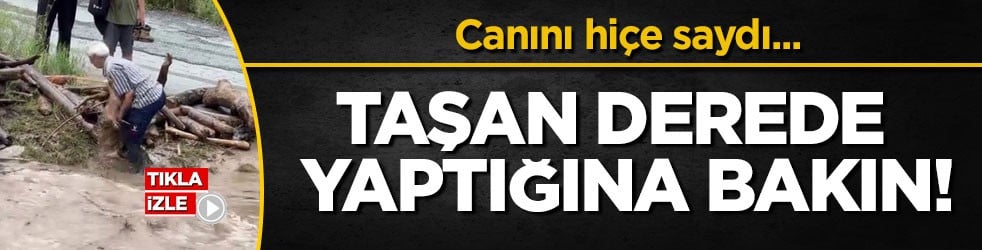 Canını hiçe saydı... Taşan derede yaptığına bakın!