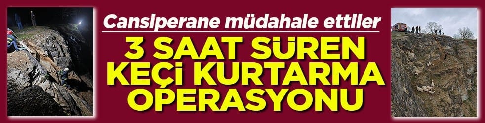 Cansiparane müdahale ettiler 3 saat süren keçi kurtarma operasyonu