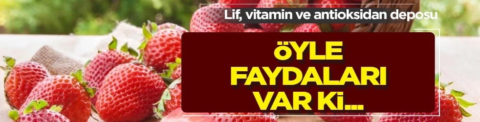 Çekirdeğini böyle tüketenler farkını görüyor... Sebze değil o meyve: Lif, vitamin ve antioksidan deposu