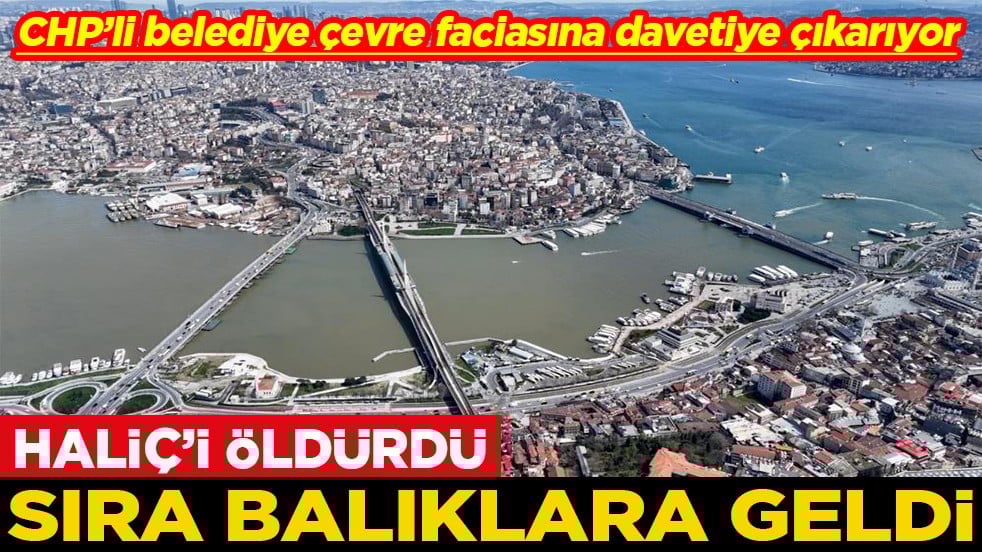 CHP’li belediye çevre faciasına davetiye çıkarıyor Haliç'i öldürdü sıra balıklara geldi