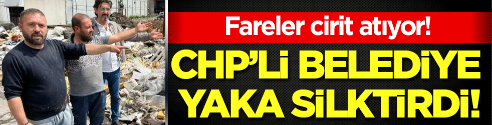CHP'li belediye yaka silktirdi! Fareler dükkanlarda cirit atıyor!