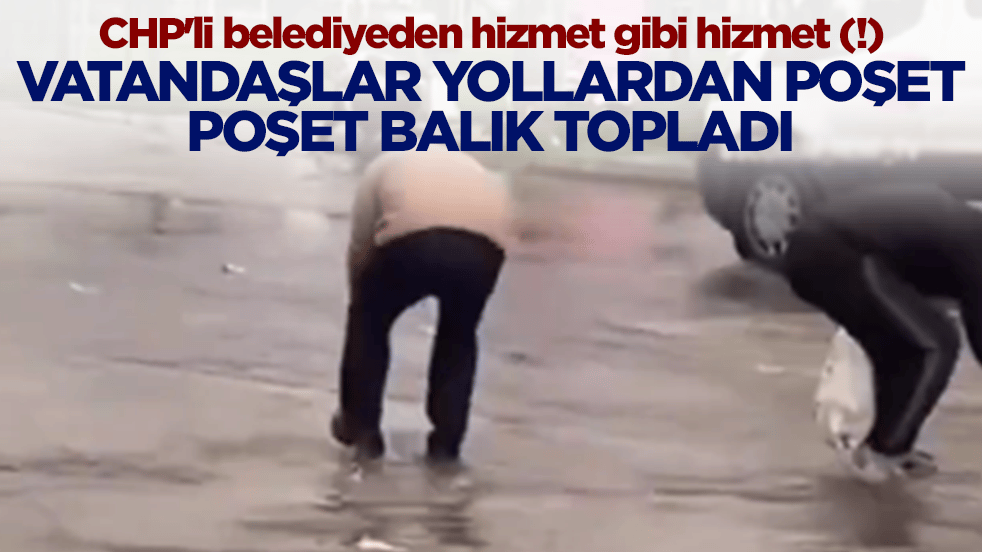 CHP'li belediyeden hizmet gibi hizmet (!) Vatandaşlar yollardan poşet poşet balık topladı