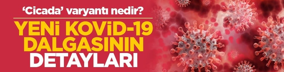 ‘Cicada’ varyantı nedir? Yeni Kovid-19 dalgasının detayları