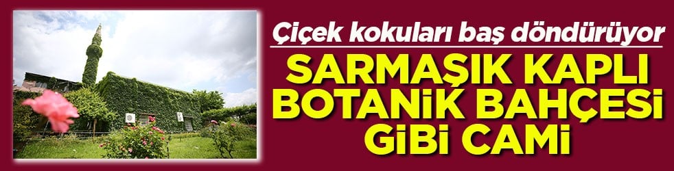 Çiçek kokuları baş döndürüyor Sarmaşık kaplı botanik bahçesi gibi cami