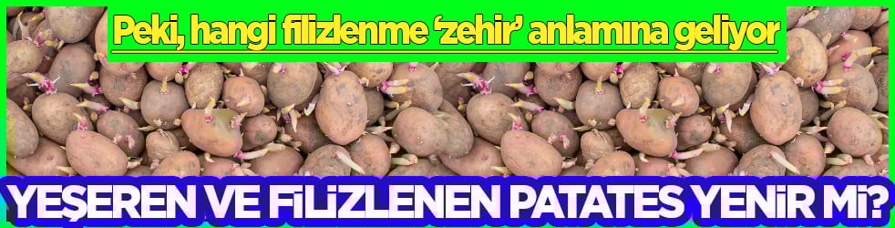Ciddi bir sağlık tehdidi mi? Yeşeren ve filizlenen patates, soğan ve sarımsak yenir mi? 