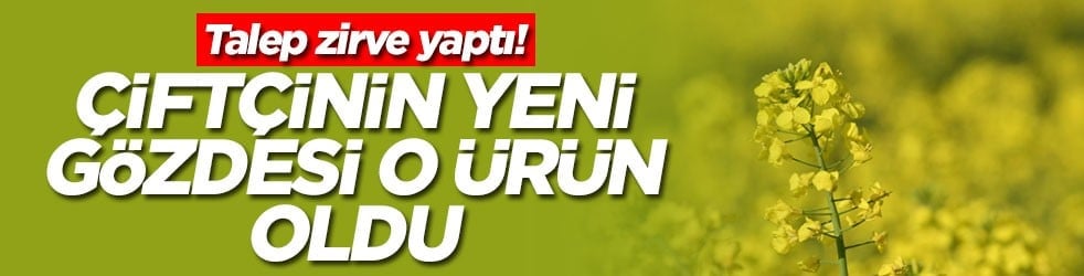 Çiftçinin yeni gözdesi o ürün oldu: Talep zirve yaptı