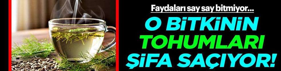 Çıkış yolu bu bitkiye çıkıyor: Vücudunuzda şifa saçacak resmen...