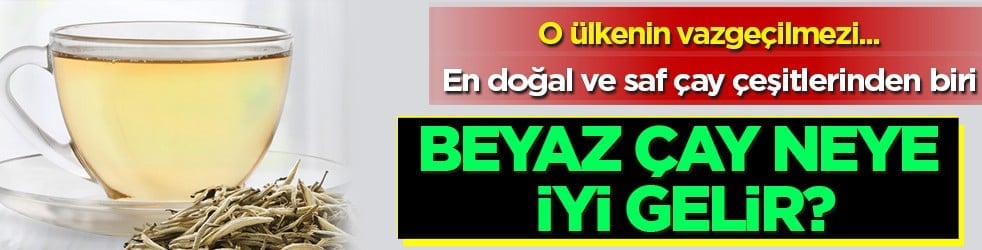 Cilt sağlığından bağışıklığa... Beyaz çay nedir, beyaz çay neye iyi gelir?