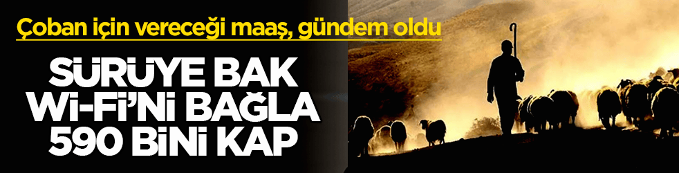 Çoban için vereceği maaş, gündem oldu! Sürüye bak, Wi-Fi’ni bağla, 590 bini kap