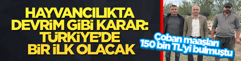 Çoban maaşları 150 bin TL’yi bulmuştu! Hayvancılıkta devrim gibi karar: Türkiye’de bir ilk olacak