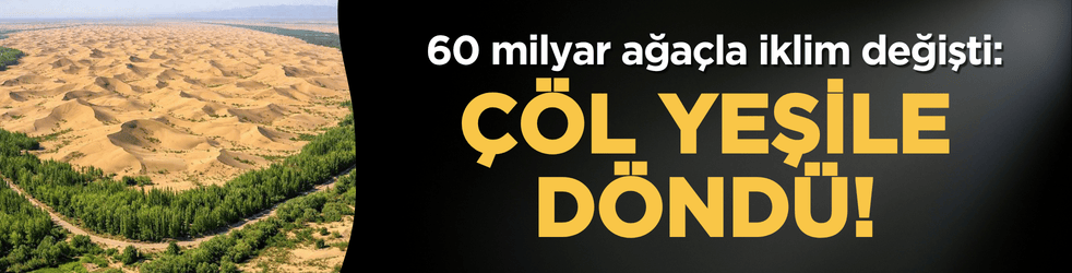 Çöl yeşile döndü! 60 milyar ağaçla iklim değişti