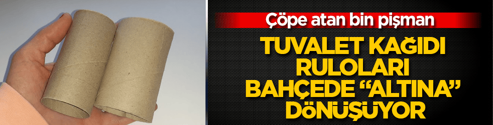 Çöpe atan bin pişman: Tuvalet kağıdı ruloları bahçede "altına" dönüşüyor