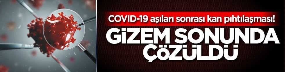 Covid 19 aşıları sonrası kan pıhtılaşması! Gizem sonunda çözüldü