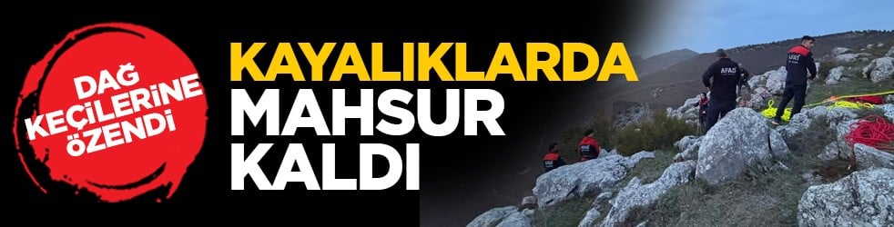 Dağ keçilerine özendi: Kayalıklarda mahsur kaldı