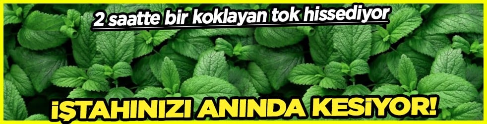 Daha az kalori için: İştah kapatan koku için... 2 saatte bir koklayan tok hissediyor