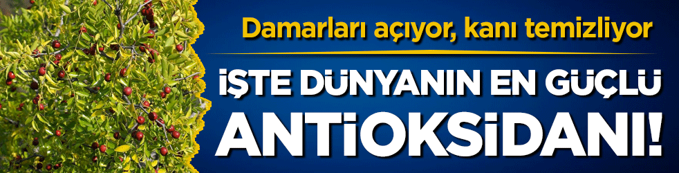 Damarları açıyor, kanı temizliyor: İşte dünyanın en güçlü antioksidanı!