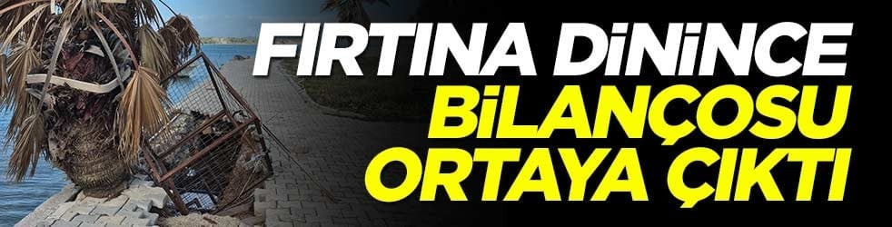 Datça'daki fırtınanın bilançosu hava sakinleşince ortaya çıktı