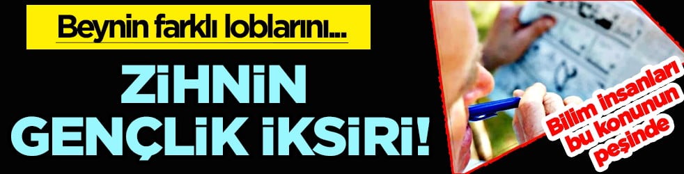 Demansa karşı güçlü bir silah: Zihnin gençlik iksiri: Bulmaca ve sudoku beyni koruyor