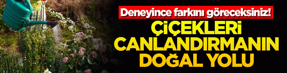 Deneyince farkını göreceksiniz! Çiçekleri canlandırmanın doğal yolu
